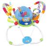 Kids II Baby Einstein Activity Jumper